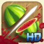 Link to: Fruit Ninja HD