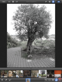 Desaturate