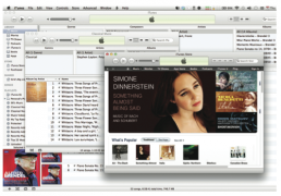 iTunes windows